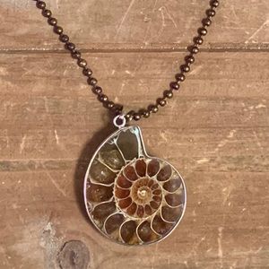 Ammonite Pendant Necklace